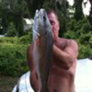 Meet your Posher, Frank